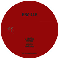 Braille - A Meaning