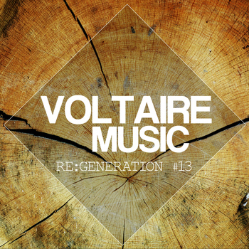 Various Artists - Voltaire Music Pres. Re:Generation, Vol. 13