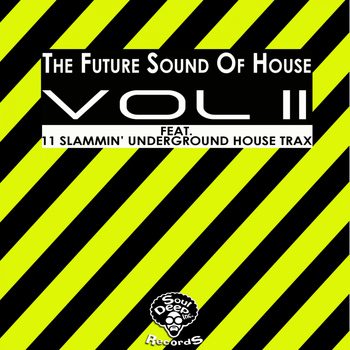 Various Artists - The Future Sound Of House Vol 2