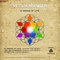 Metahumanizer - 13 Seeds Of Life
