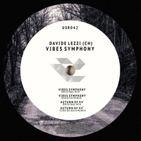 Davide Lezzi (Ch) - Vibes Symphony EP