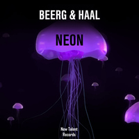 Beerg & Haal - Neon