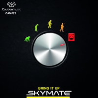 Skymate - Bring It Up