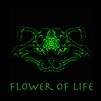Spiritcat - Flower of Life