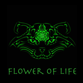 Spiritcat - Flower of Life