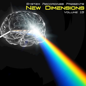 Various Artists - New Dimensions, Vol. 13