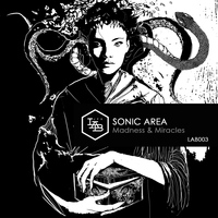 Sonic Area - Madness and Miracles