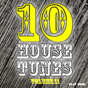 Various Artists - 10 House Tunes, Vol. 11