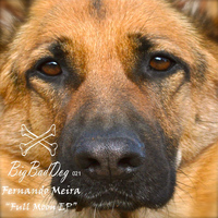 Fernando Meira - Full Moon EP
