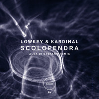 LOWKEY & KARDINAL - Scolopendra