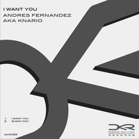 Andres Fernandez - I Want You