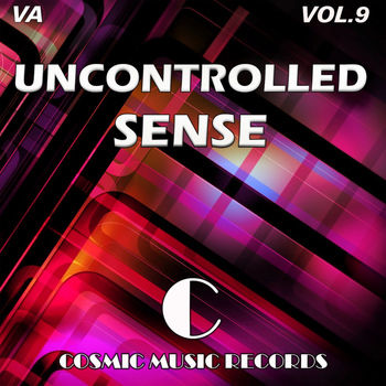 Various Artists - Uncontrolled Sense Vol. 9