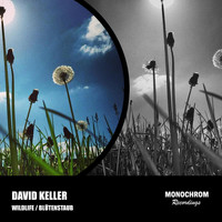 David Keller - Wildlife / Blütenstaub