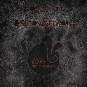 Bjoern Willing - Diffusion Network