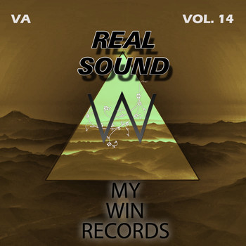 Various Artists - Real Sound, Vol. 14