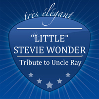 "Little" Stevie Wonder - Tribute to Uncle Ray