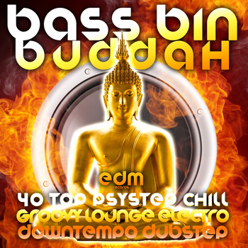Various Artists - Bass Bin Buddah (40 Top Psystep, Groovy Lounge, Electro Chill, Downtempo Dubstep)