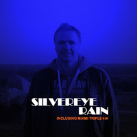 Silvereye - Rain