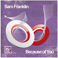 Sam Franklin - Because of You