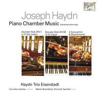 Haydn Trio Eisenstadt - Haydn: Piano Chamber Music