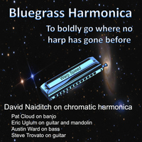 David Naiditch - Bluegrass Harmonica