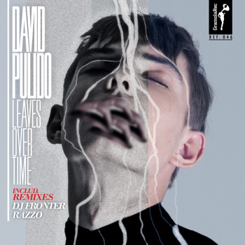 David Pulido - Leaves Over Time