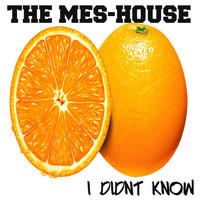 The Mes-House - I Didn't Know