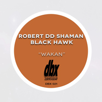 Robert Dd Shaman Black Hawk - Wakan