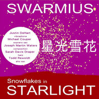 Swarmius - 星光雪花 (Snowflakes in Starlight)