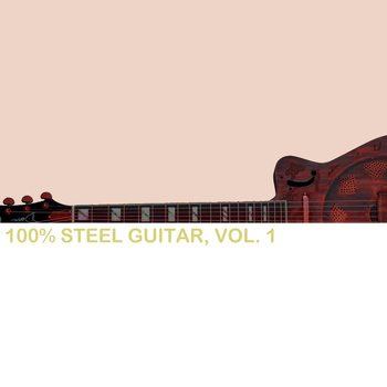 Various Artists - 100% Steel Guitar, Vol. 1
