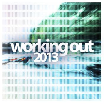 Various Artists - Working Out 2013