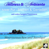 Wellness & Ambiente - Meer pur: Erleben und genießen - Meeresrauschen und Seevögel (Lange Version)