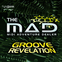 The Mad - Groove Revelation