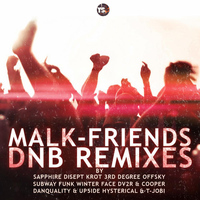 Malk - Friends (DnB Remixes)