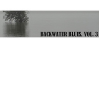 Bessie Smith, John Lee Hooker and B.B. King - Backwater Blues, Vol. 3