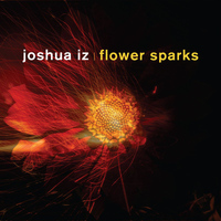 Joshua Iz - Flower Sparks