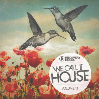 Various Artists - We Call It House, Vol. 11