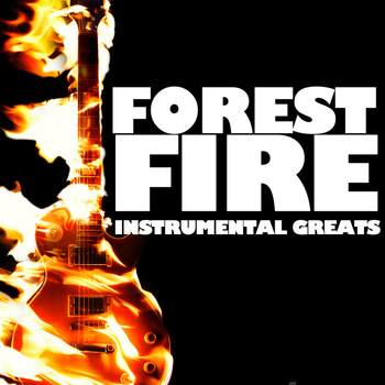 various artisits - Forest Fire: Instrumental Greats