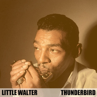 Little Walter - Thunderbird