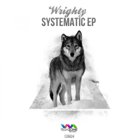 Wrighty - Systematic