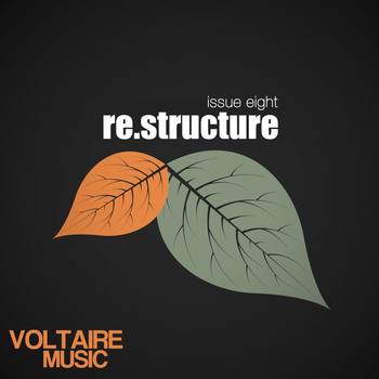 Various Artists - re.structure Issue Eight