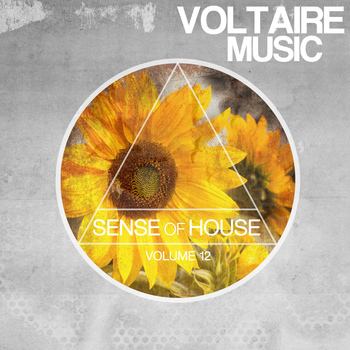 Various Artists - Sense of House, Vol. 12
