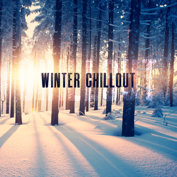 Various Artists - Winter Chillout
