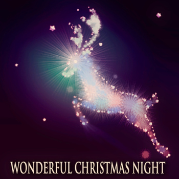 Various Artists - Wonderful Christmas Night