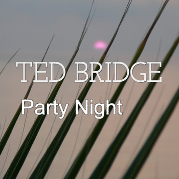 Ted Bridge - Party Night