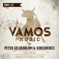 Peter Gelderblom, Subcquence - That Organ (Coqui Selection Remix)
