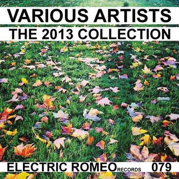 Various Artists - The 2013 Collection