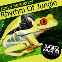 Angel Seisdedos - Rhythm Of Jungle