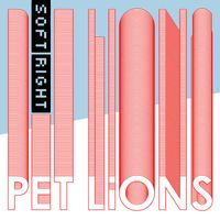 Pet Lions - Soft Right