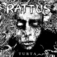 Rattus - Turta